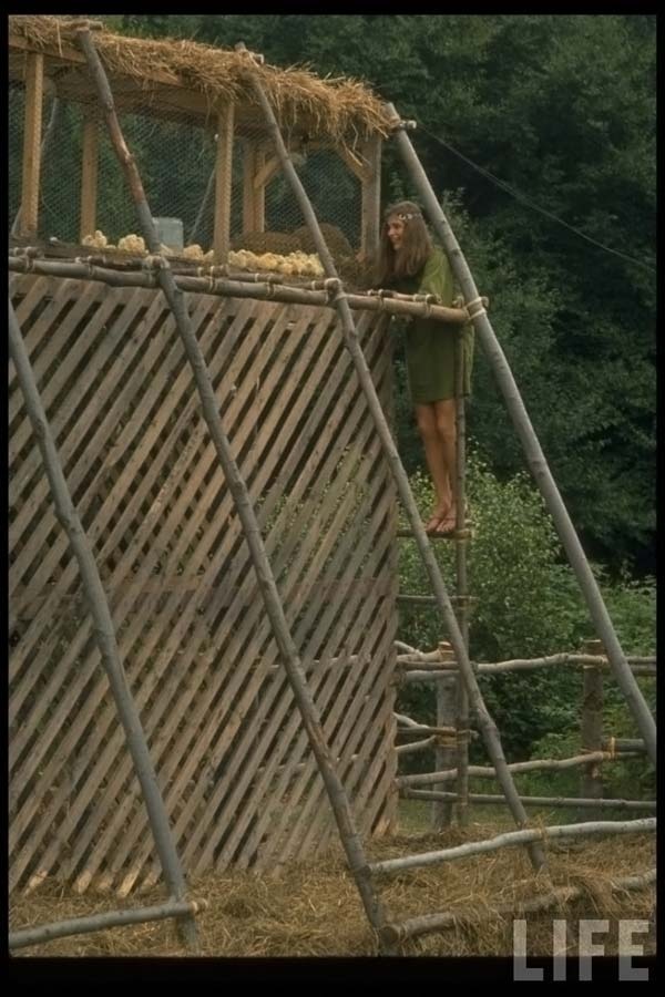 Woodstock 1969 photos