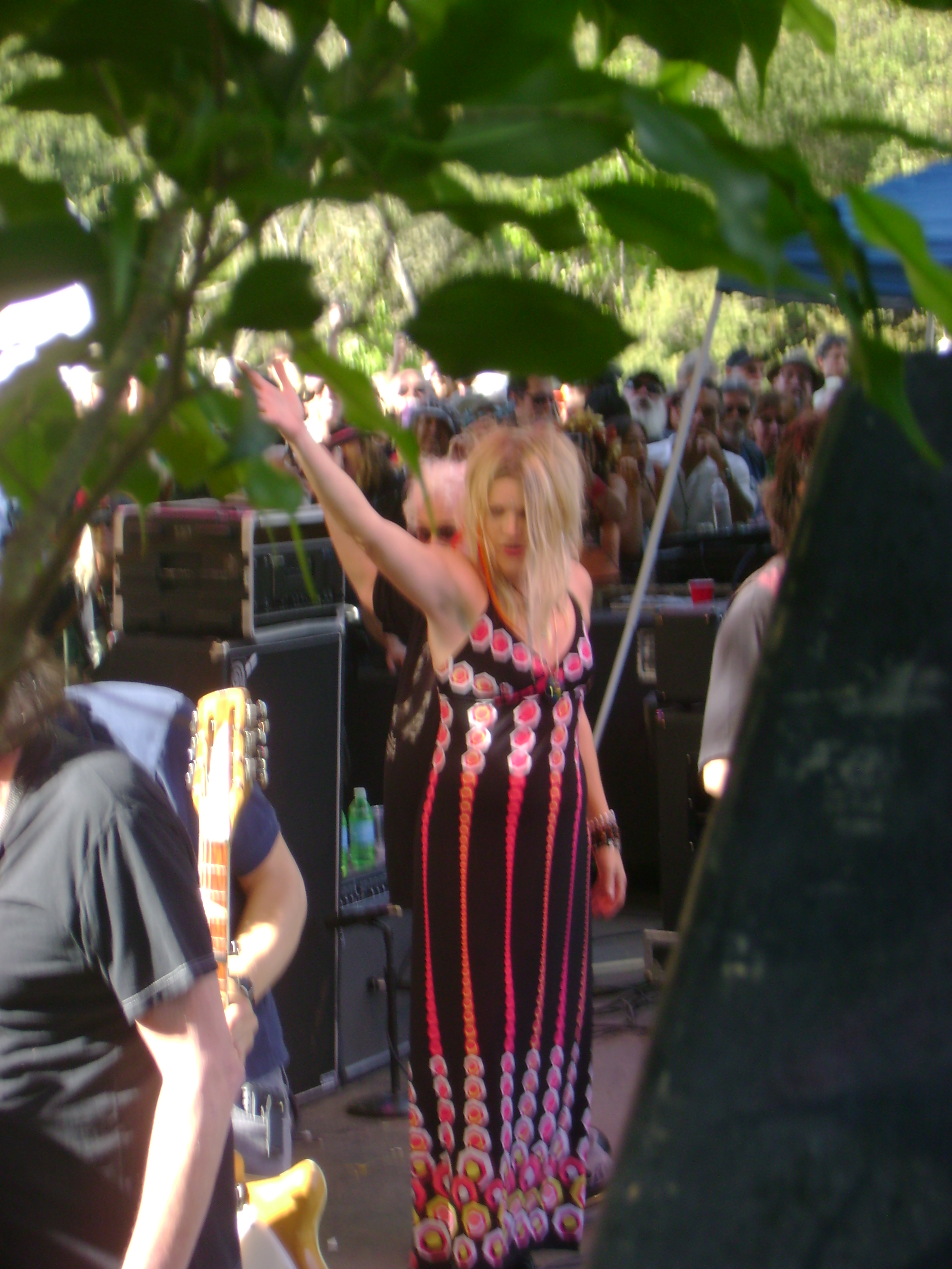 WestFest — Woodstock 40th anniversary celebration photo 3